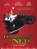 miniatura despertando-a-ned-por-melegar cover carteles