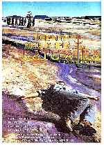 miniatura donde-nacen-y-mueren-los-suenos-katuwira-por-lupro cover carteles