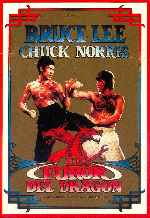 miniatura el-furor-del-dragon-por-rajaisma cover carteles