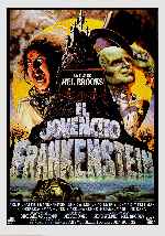 miniatura el-jovencito-frankenstein-por-peppito cover carteles