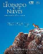 miniatura el-leopardo-de-las-nieves-v2-por-mrandrewpalace cover carteles