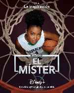 miniatura el-mister-v07-por-mrandrewpalace cover carteles