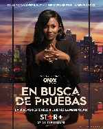 miniatura en-busca-de-pruebas-por-mrandrewpalace cover carteles