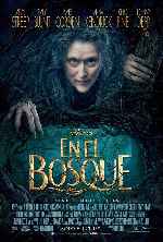 miniatura en-el-bosque-2014-por-franvilla cover carteles