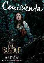 miniatura en-el-bosque-2014-v02-por-rka1200 cover carteles