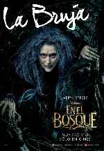 miniatura en-el-bosque-2014-v11-por-rka1200 cover carteles