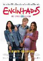 miniatura encintados-por-chechelin cover carteles