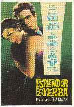miniatura esplendor-en-la-yerba-por-vimabe cover carteles