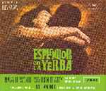 miniatura esplendor-en-la-yerba-v2-por-vimabe cover carteles