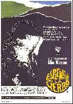 miniatura esplendor-en-la-yerba-v3-por-lupro cover carteles