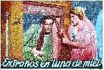 miniatura extranos-en-una-luna-de-miel-por-lupro cover carteles