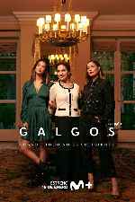 miniatura galgos-v2-por-chechelin cover carteles