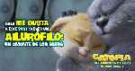miniatura gatopia-una-aventura-de-pelos-v3-por-mrandrewpalace cover carteles
