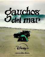 miniatura gauchos-del-mar-por-mrandrewpalace cover carteles