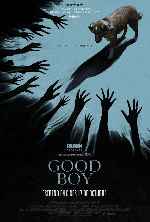 miniatura good-boy-por-chechelin cover carteles