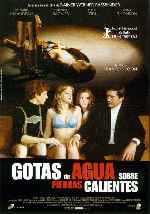miniatura gotas-de-agua-sobre-piedras-calientes-por-alcor cover carteles