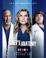miniatura greys-anatomy-temporada-18-por-mrandrewpalace cover carteles