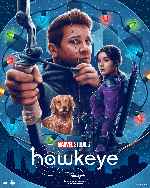 miniatura hawkeye-v07-por-mrandrewpalace cover carteles