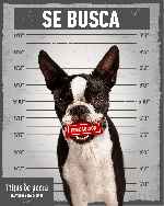 miniatura hijos-de-perra-v4-por-mrandrewpalace cover carteles