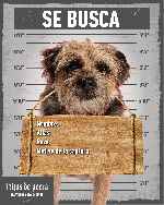 miniatura hijos-de-perra-v5-por-mrandrewpalace cover carteles