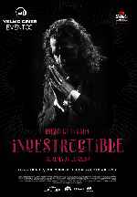 miniatura indestructible-el-alma-de-la-salsa-por-chechelin cover carteles