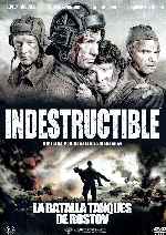 miniatura indestructible-por-chechelin cover carteles