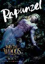 miniatura into-the-woods-v11-por-ogiser cover carteles