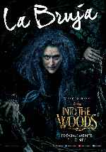 miniatura into-the-woods-v12-por-ogiser cover carteles
