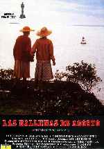 miniatura las-ballenas-de-agosto-por-alcor cover carteles