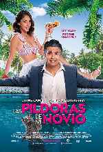 miniatura las-pildoras-de-mi-novio-por-chechelin cover carteles