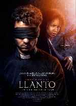 miniatura llanto-v2-por-mrandrewpalace cover carteles