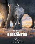 miniatura los-elefantes-por-mrandrewpalace cover carteles