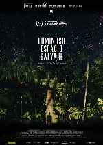 miniatura luminoso-espacio-salvaje-por-chechelin cover carteles