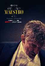 miniatura maestro-por-mrandrewpalace cover carteles