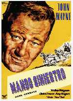 miniatura mando-siniestro-por-lupro cover carteles