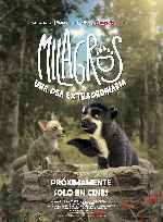 miniatura milagros-una-osa-extraordinaria-por-mrandrewpalace cover carteles