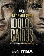 miniatura nick-y-aaron-carter-idolos-caidos-por-mrandrewpalace cover carteles
