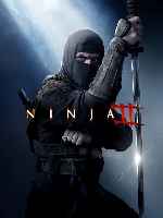 miniatura ninja-ii-v2-por-mrandrewpalace cover carteles