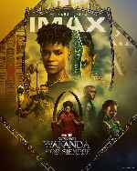 miniatura pantera-negra-wakanda-por-siempre-v20-por-mrandrewpalace cover carteles