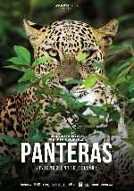 miniatura panteras-por-chechelin cover carteles