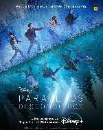 miniatura paralelos-desconocidos-por-mrandrewpalace cover carteles