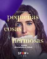 miniatura pequenas-cosas-hermosas-por-mrandrewpalace cover carteles