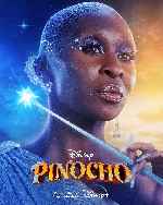miniatura pinocho-2022-v10-por-mrandrewpalace cover carteles