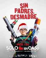 miniatura por-fin-solo-en-casa-por-mrandrewpalace cover carteles