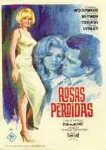 miniatura rosas-perdidas-por-husci cover carteles