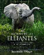 miniatura secretos-de-los-elefantes-por-mrandrewpalace cover carteles