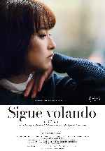 miniatura sigue-volando-por-chechelin cover carteles