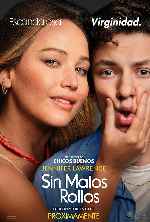 miniatura sin-malos-rollos-por-chechelin cover carteles