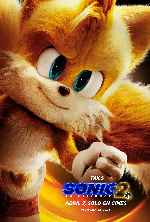 miniatura sonic-2-la-pelicula-v06-por-mrandrewpalace cover carteles