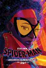 miniatura spider-man-cruzando-el-multiverso-v15-por-franvilla cover carteles